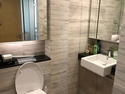 Cityscape @ Farrer Park (D8), Condominium #158310322